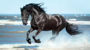 Spanish proverb of the day: ‘Don’t look at the teeth of a gifted horse’ — Value the gesture more than the material quality of what you receive