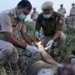 Invited for drinks, stabbed to death in forest: Tattoos unravel Delhi revenge murder plot; 3 held | Delhi News