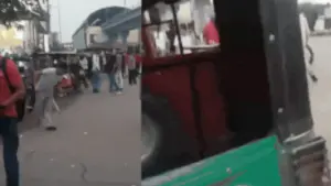 ‘Raining blows’: Viral video shows MP man beaten to death after dispute over eggs | Jaipur News