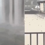 Slithering snakes, lakhs on the run: Twin typhoons batter China; scary visuals emerge