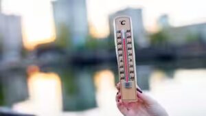 Uk Heatwave 2026: Temperatures set to peak at 36C during UK heatwave, health warnings issued | World News