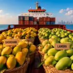 ‘Aam’ezing voyage: UP’s mangoes make first sea journey to Dubai