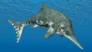 Neutron scans of a 100-million-year-old Queensland ichthyosaur found fish, cephalopods and a pterosaur in its stomach; crushing bite marks point to giant Kronosaurus