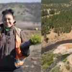 After America’s largest dam removal, the Yurok Tribe is bringing an entire river back to life by planting millions of native seeds |