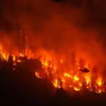 When wildfires make their own weather: As France sees its first fire cloud, should India be worried? | India News