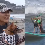 ​From cancer survivors to surfing stars: California woman and her dog beat cancer before competing together at the World Dog Surfing Championships | World News