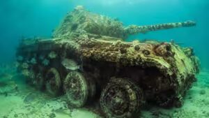 In 1994, Alabama sank 100 retired M60 battle tanks in the Gulf, giving obsolete military machines a 50-year second life as fish reefs | World News
