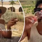 Joe Jonas and Priyanka Chopra prove they’re the perfect drinking buddies; fans gush over their ‘cool bhabhi, cool devar’ energy |