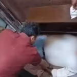 Karnataka Engineer Death: 80-year-old retired engineer dies after getting trapped under elevator at Karnataka temple | Mysuru News