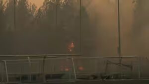 Washington wildfires scorch over 2,50,000 acres; trigger mass evacuations